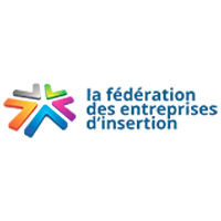 Federation-des-Entreprises-Insertion-logo200